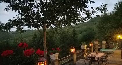 Enchanting two stone villas in the heart of Tuscany-Tastefully maintained