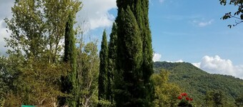 Enchanting two stone villas in the heart of Tuscany-Tastefully maintained