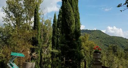 Enchanting two stone villas in the heart of Tuscany-Tastefully maintained