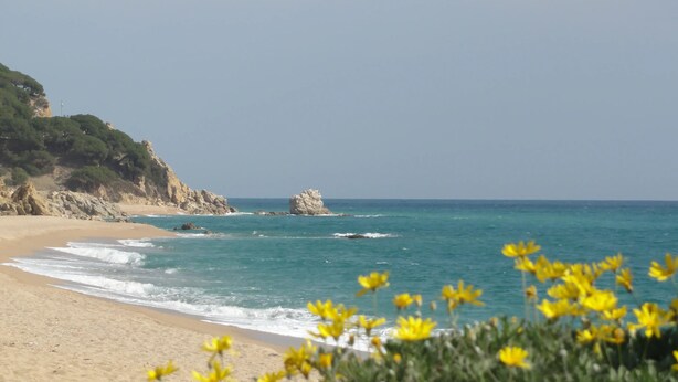 A beach with clear blue water, sandy shore, and a rocky outcrop in the distance. - Parc du Montnegre, villa with magnificent sea view (Tordera)