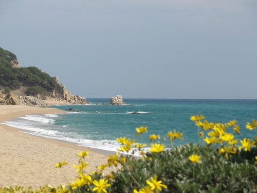 Parc du Montnegre, villa with magnificent sea view
