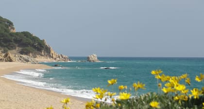 Parc du Montnegre, villa with magnificent sea view