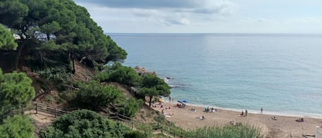Ranta
