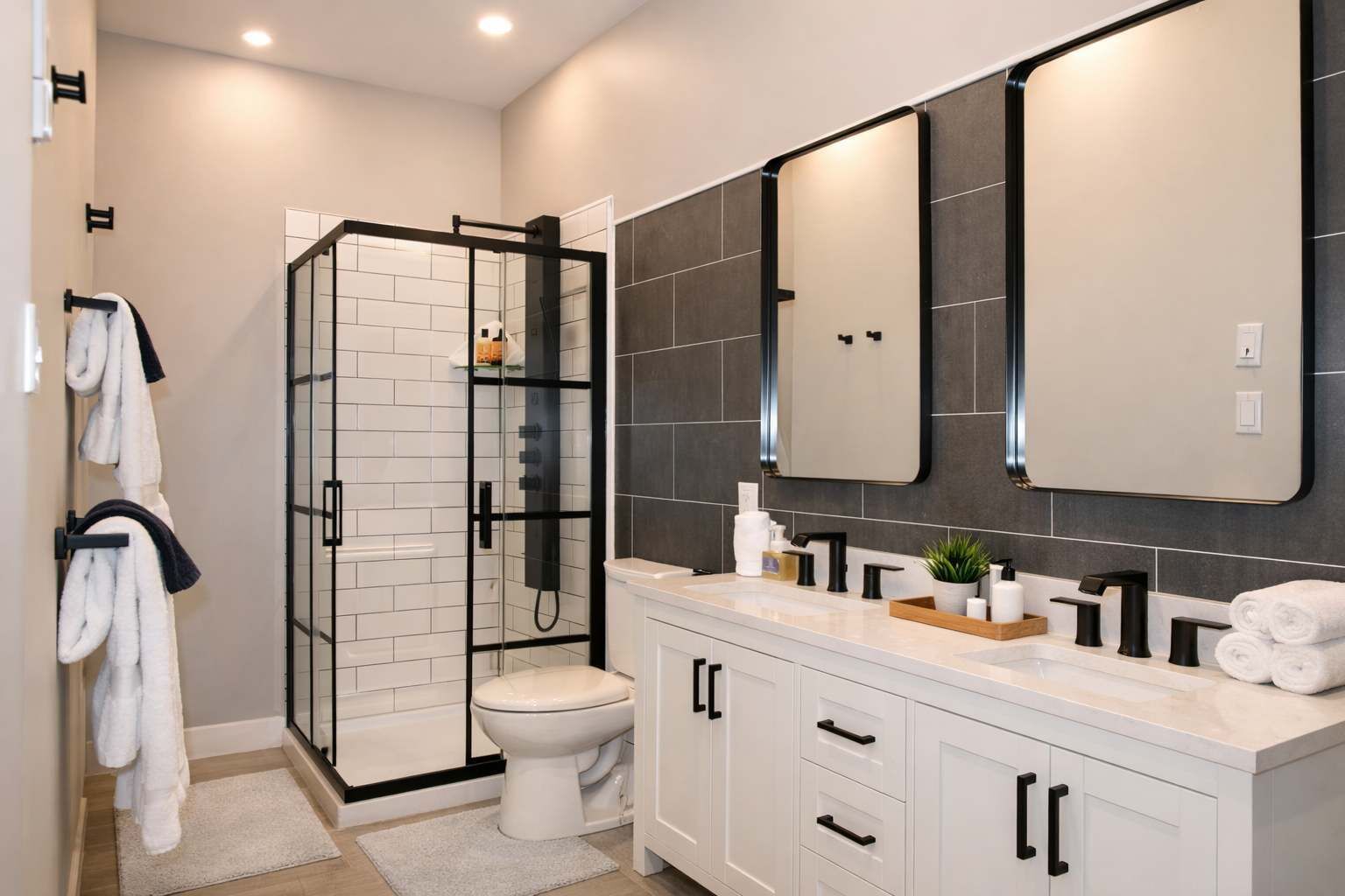 Shower, hair dryer, shampoo