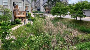 Un hilera de casas adosadas con un área verde y árboles al frente.