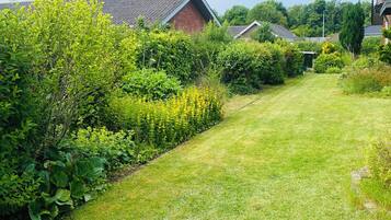 Shared Dormitory, 4 Bedrooms, Smoking, Garden View | Garden