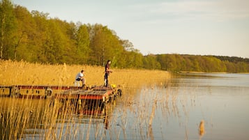 House | View from property
