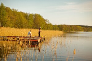 House | View from property