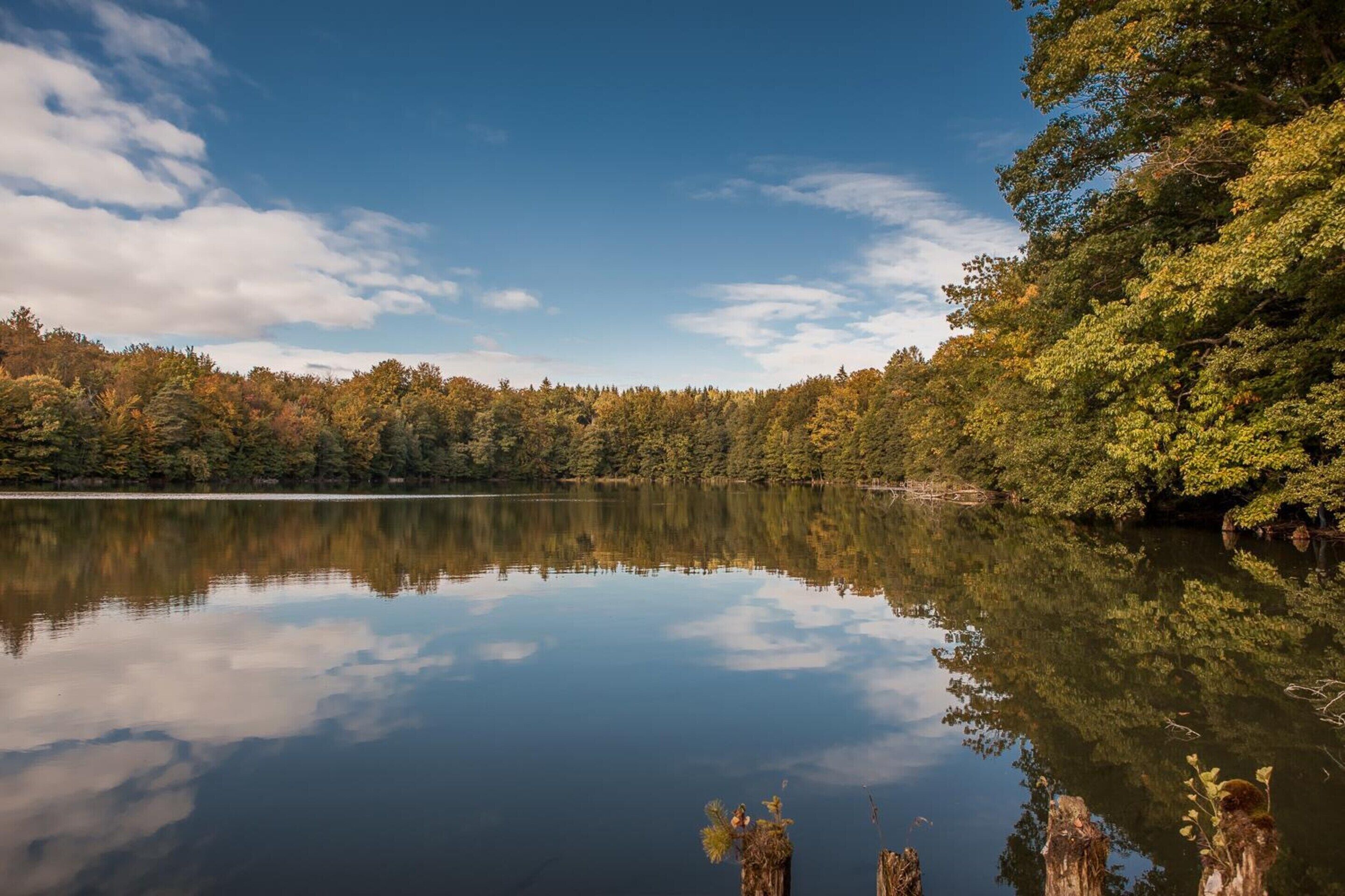 House | View from property