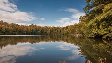House | View from property