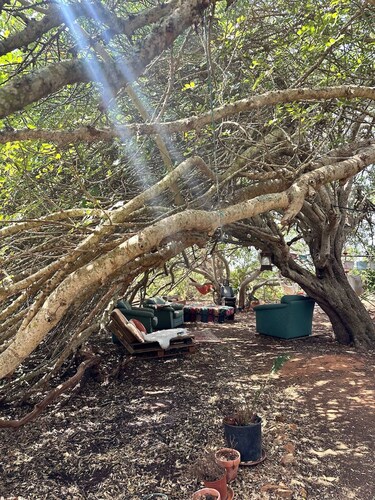 Pauls Caravan for 4 - See the Horses From Your bed