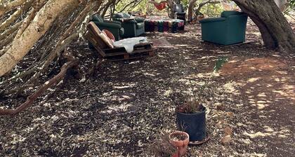 Pauls Caravan for 4 - See the Horses From Your bed