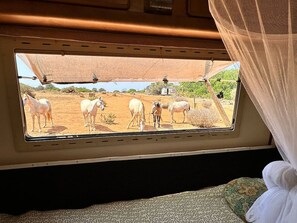 Mobil Karavan, beberapa kamar, Boleh Merokok | 1 kamar tidur