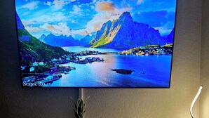 Un televisor de pantalla plana montado en la pared sobre un mueble oscuro con una pequeña planta en maceta y un objeto decorativo.