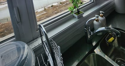 4-bedroom newly built house in Pickering.