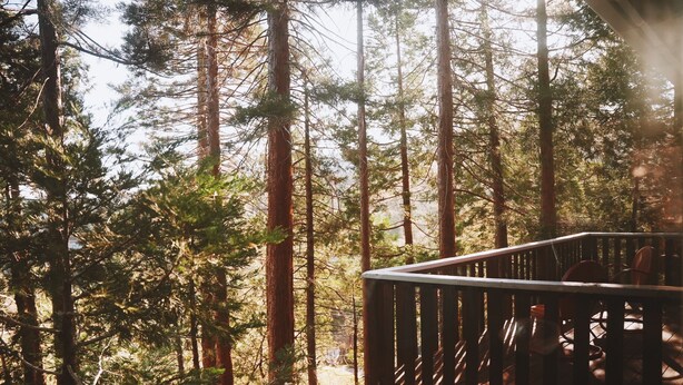 A wooden deck surrounded by tall pine trees. - The Crescent Moon Cabin with Lakeviews & Wood burning Fireplace (Crestline)