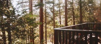 The Crescent Moon Cabin with Lakeviews & Wood burning Fireplace