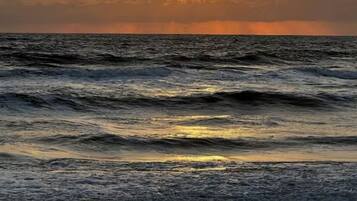 Camastros y toallas de playa