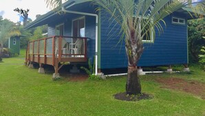 Una casita azul con un porche de madera y una palmera en frente.