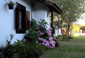 Chi tiết ngoại thất