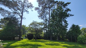 Un jardín extenso y bien cuidado, con árboles altos y un cielo despejado.