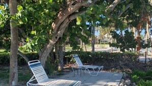 Two metal lounge chairs under a tree on a paved area with a stone border.