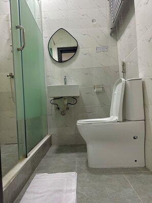 Regadera, toallas, papel de baño 