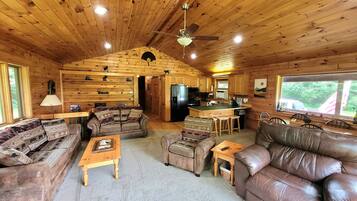 Smart-TV, peis, DVD-spiller og musikkbibliotek