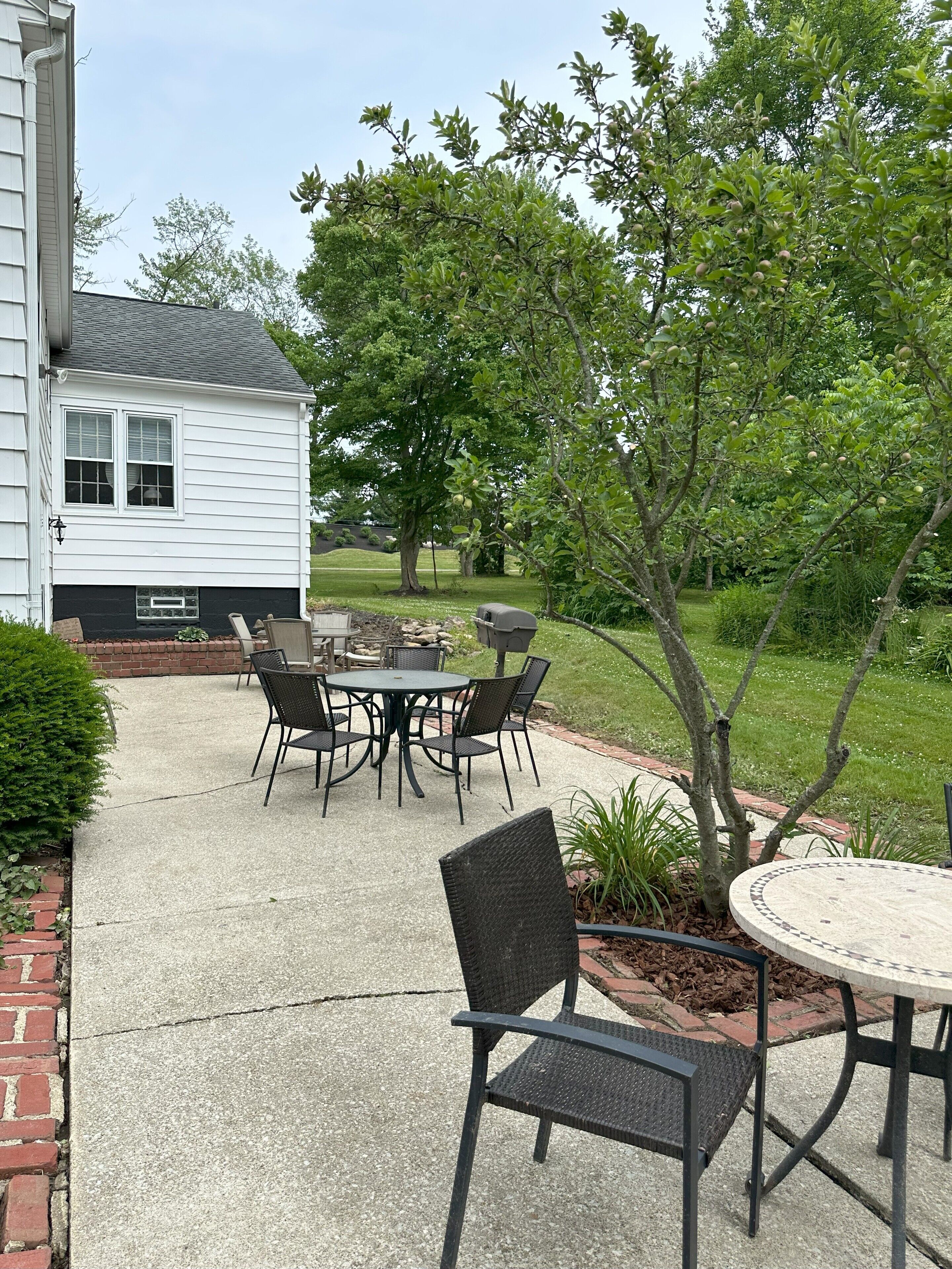 Restauration en plein air