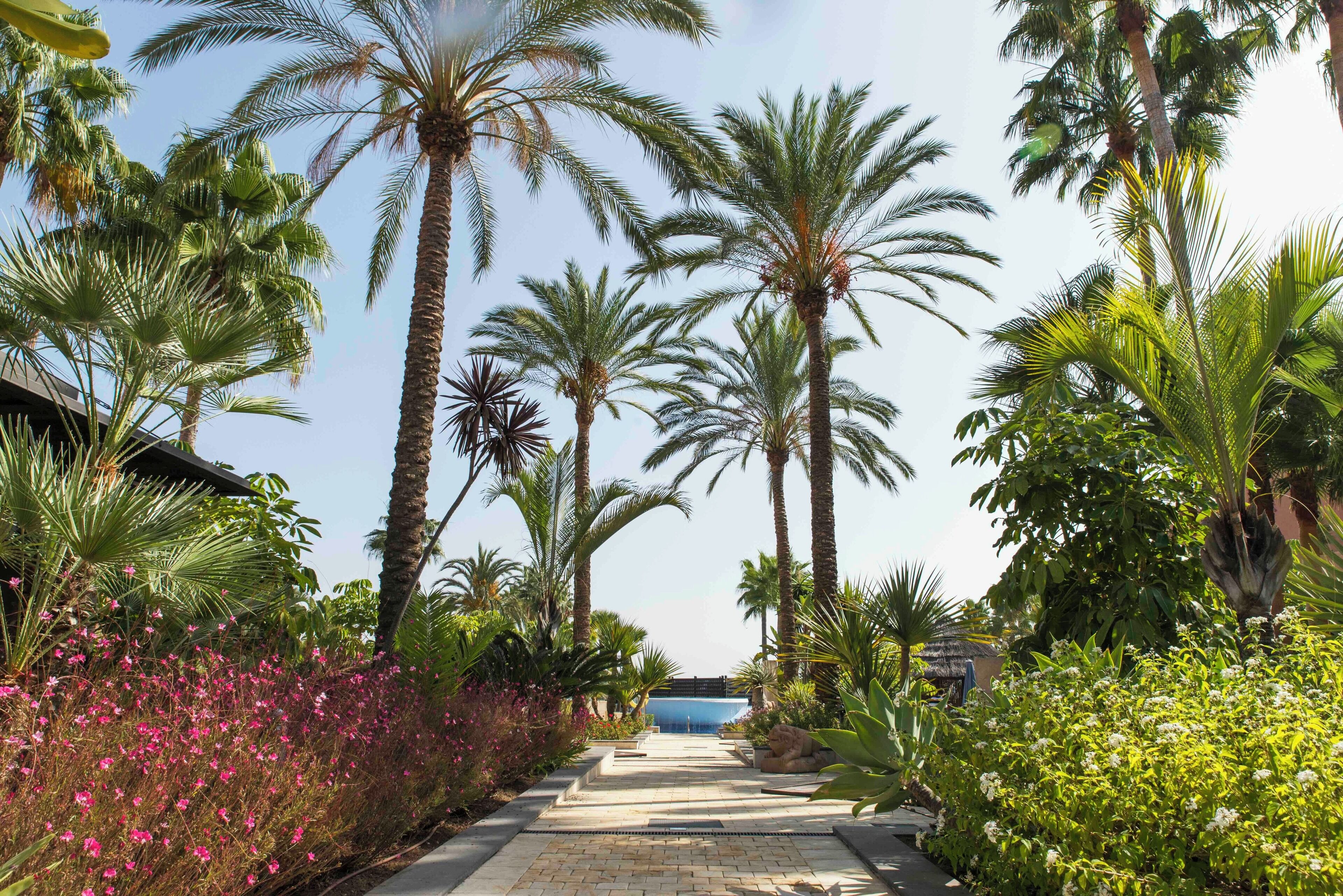 Overnattingsstedets uteområder