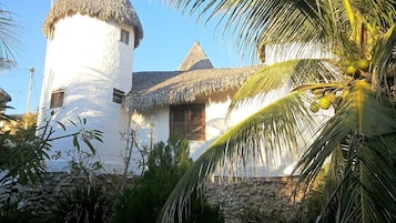 Detalle del exterior
