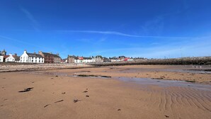 A sandy beach with footprints and seaweed, buildings in the background, and a clear blue sky.
