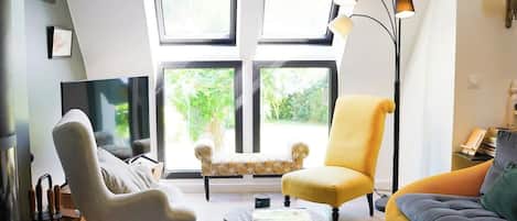 TV, fireplace, books