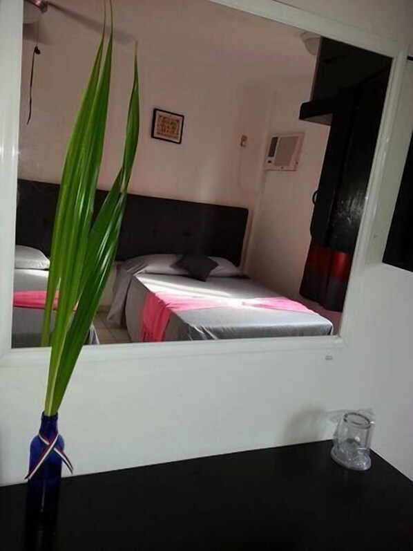 A room with a bed, a bedside table, a potted plant, and a mirror reflecting the room. - Hotel Torre Tuxpan (Tuxpan)