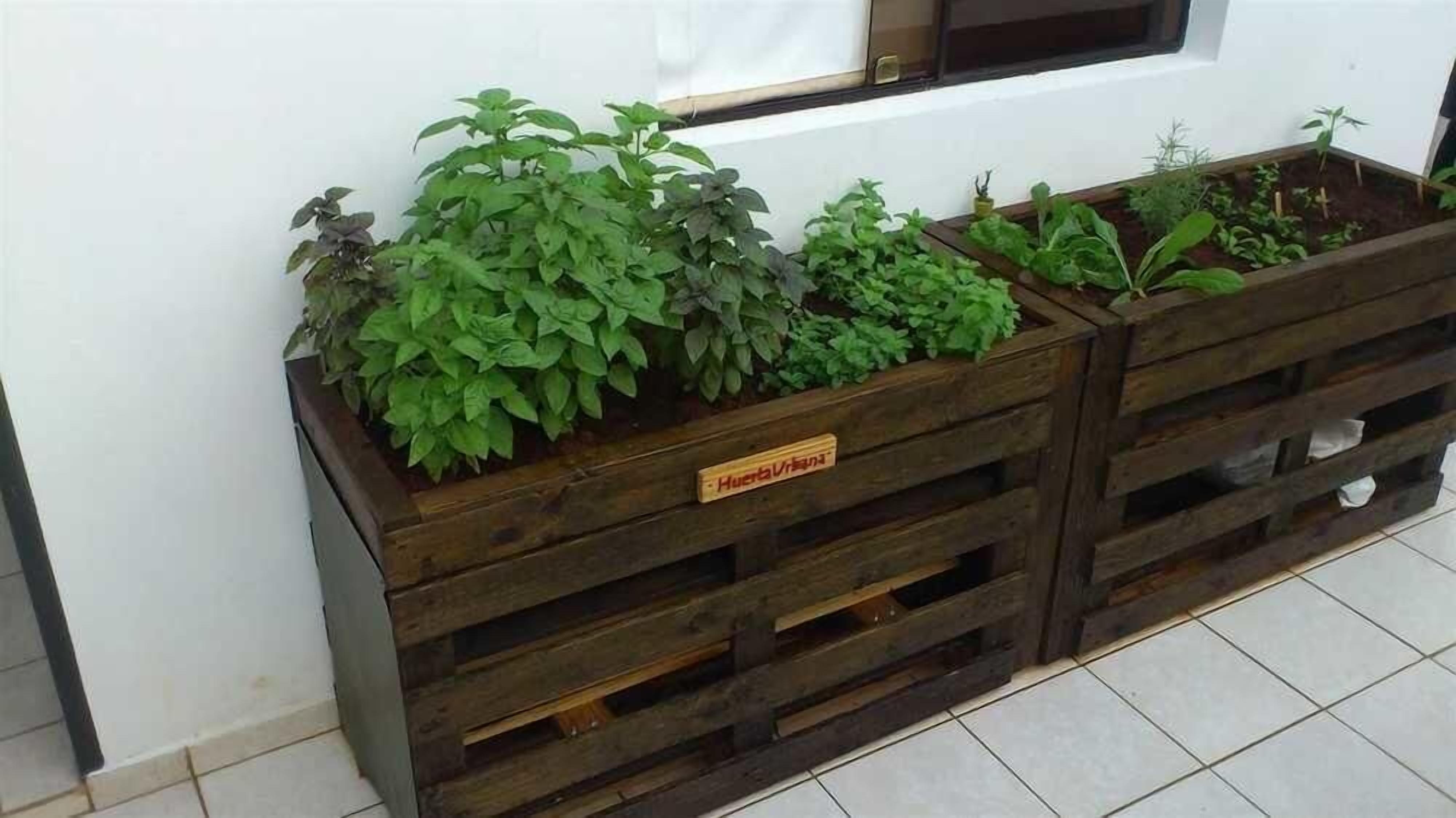 A series of wooden planters with various green plants against a white wall, placed on a tiled floor.