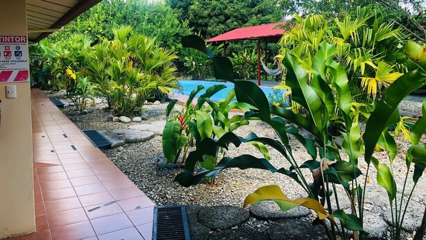 A covered outdoor area with a pool, surrounded by tropical plants and a red umbrella. - Habitación 2 (Sierpe)