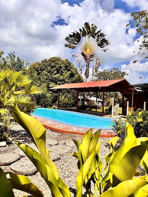 Area piscina con un padiglione a tetto rosso, circondata da piante tropicali e una palma.