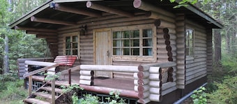 Enjoyable 1-bedroom cabin in Etelä-Karjala