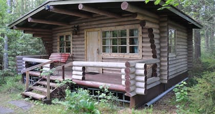 Enjoyable 1-bedroom cabin in Etelä-Karjala