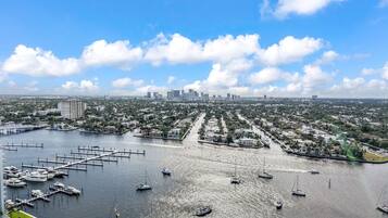 A marina with multiple boats docked, a city skyline in the background, and a clear sky.