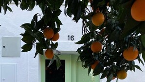 Une porte double verte, avec le numéro 16 au-dessus, un paillasson et une petite fenêtre.
