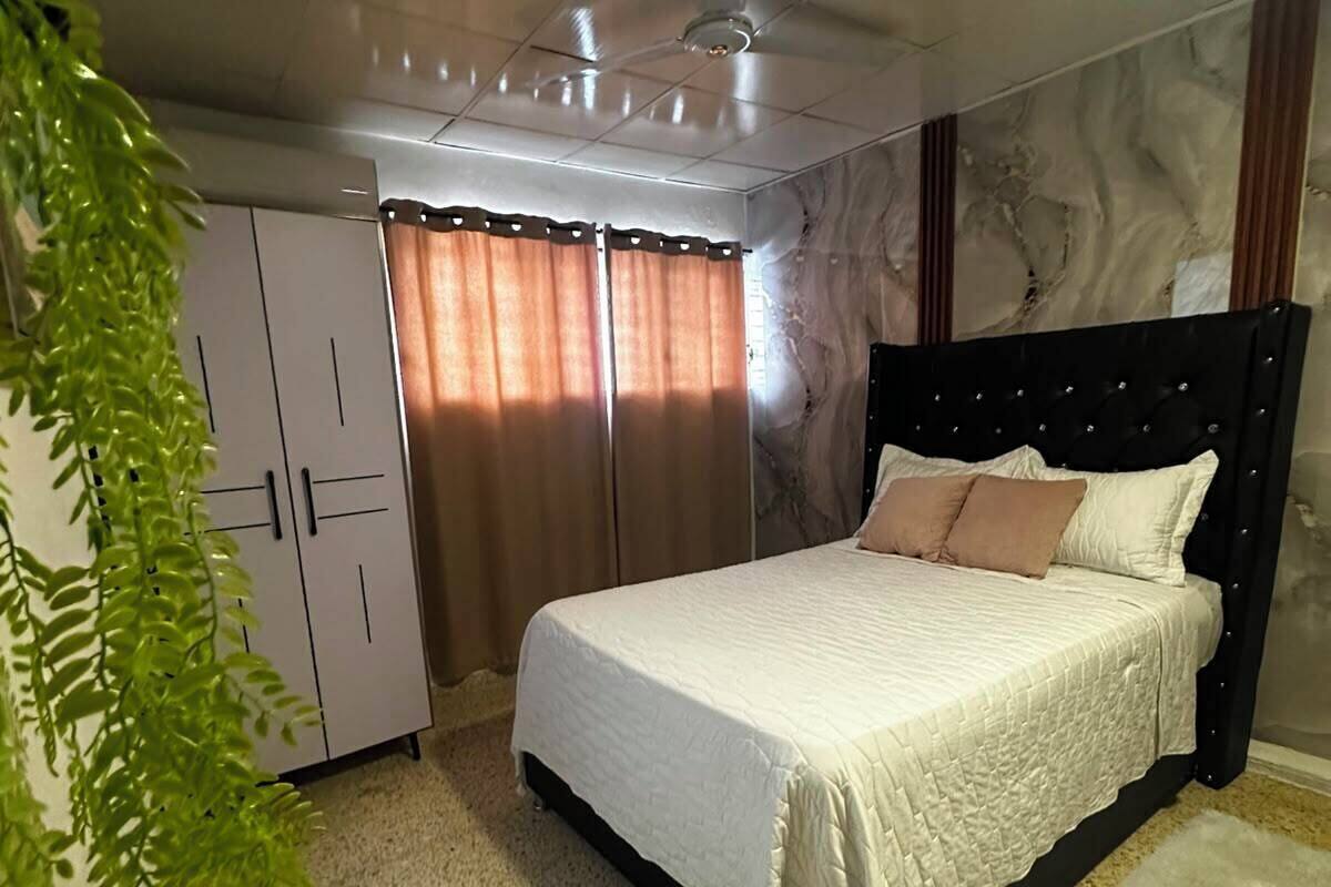 A bedroom with a bed, a ceiling fan, a wardrobe, and a plant.