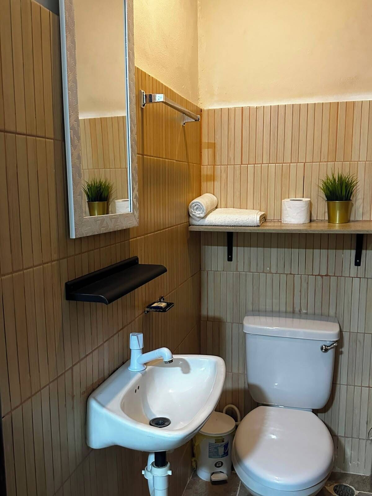 A bathroom with a sink, toilet, mirror, and shelves with towels and plants.