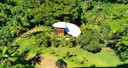 Unique Shell House with Ocean View