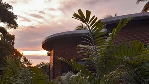 A modern building with a curved roof, surrounded by lush tropical vegetation.