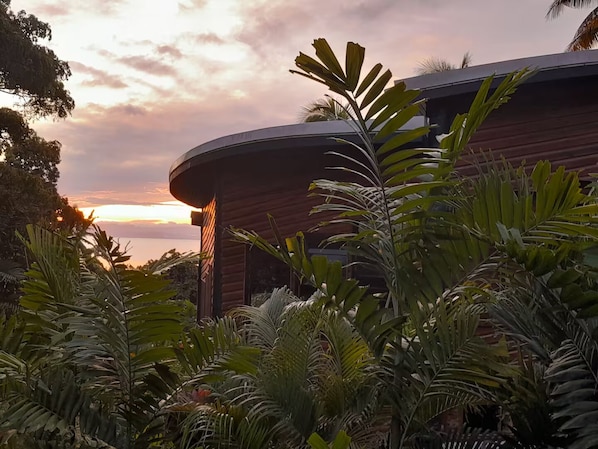 A modern building with a curved roof, surrounded by lush tropical vegetation.