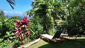 A tropical garden with two lounge chairs and a variety of lush greenery.
