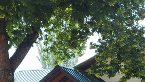Eksteriør