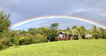 Puna Rainforest Retreat Hotspring - Purple Passion Cottage