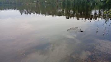 Sekalaista